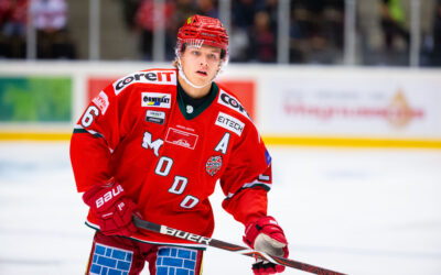 Hedberg och Pettersson ansluter till Brynäs