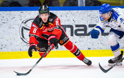Gunler klar för Brynäs