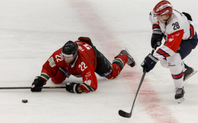 Ikonen ansluter till Linköping