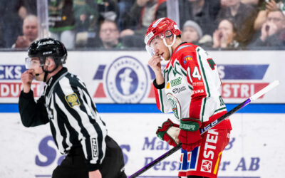 Borgman avstängd tre matcher